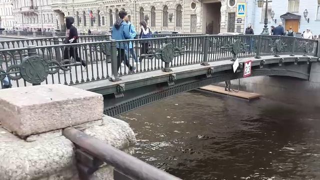 VID-20250514-WA0121