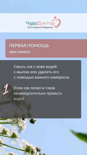 ОЖОГ от борщевика | Частые случаи у детей летом | #екате