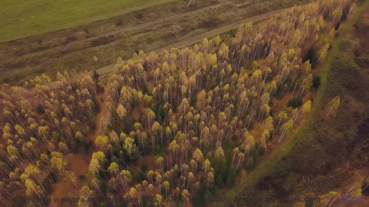 Этот ручей поёт ПРОКЛЯТУЮ песню! - Cool-Fever -- Ketsa -- Mini LP