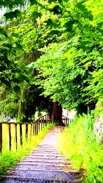 Камера сняла нечто особенное