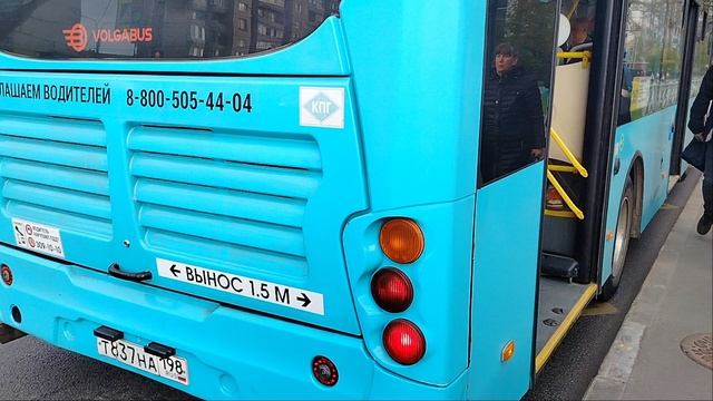 Автобус 367 маршрут Волгабас 5270.G4 6545 Колпино Тверская Улица Угол Улица Ижорского Батальона