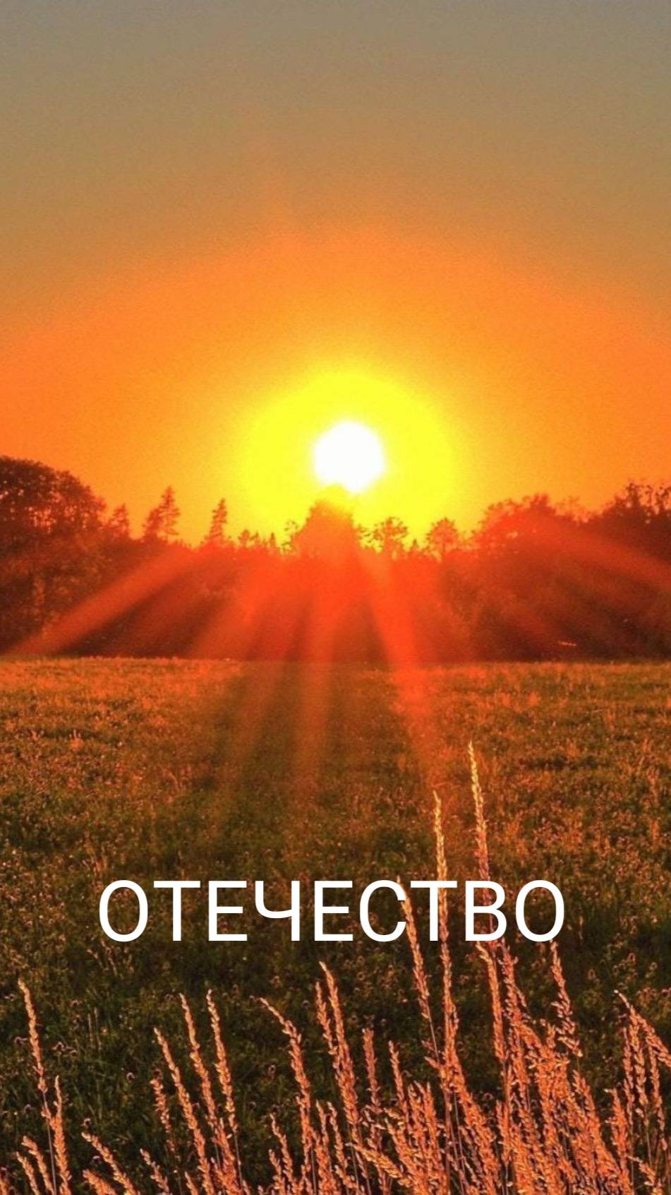 ОТЕЧЕСТВО