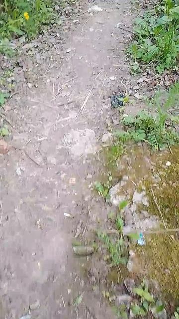 видео будут выходить во вторник в четверг и в пятницу завтра выйдет видео