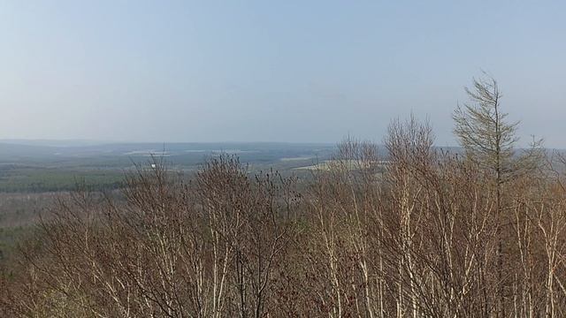 Тишина вершины горы Лягушки