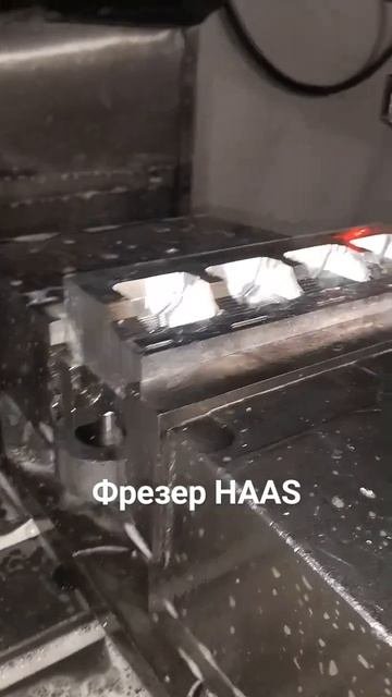 Кострома... фрезер Haas