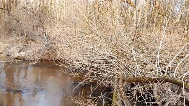 разведка новых мест коп по войне