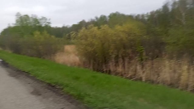 От первого лица на велосипеде