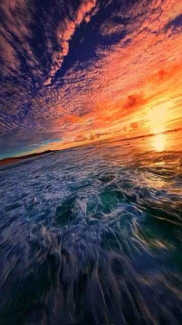 What is freedom for you?🏄