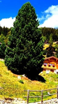 Всё на камеру: непредсказуемые кадры