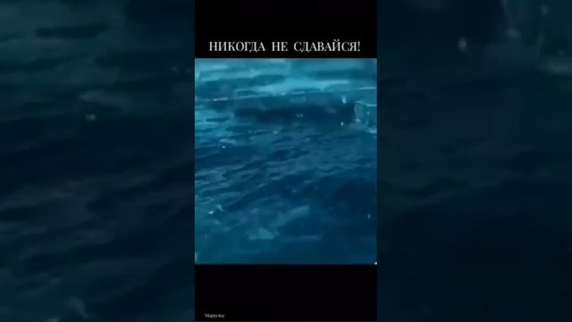 не сдавайся,верь,молись