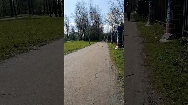 Прогулка в Невском районе мост через парк Есенина