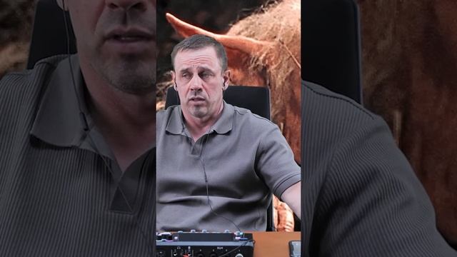 попутал номер 🤣
