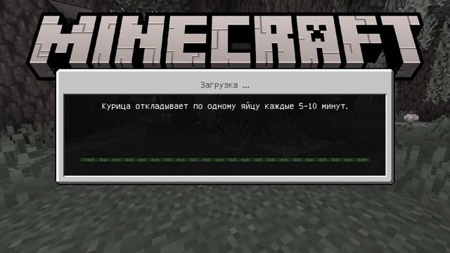 XRecorder_20250515_02.mp4