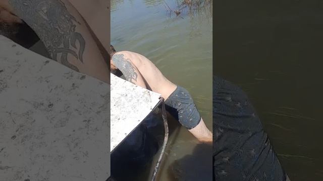Весна на каракате.