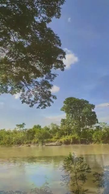 love sunset #travel #shortsvideo #nature #viral #shorts