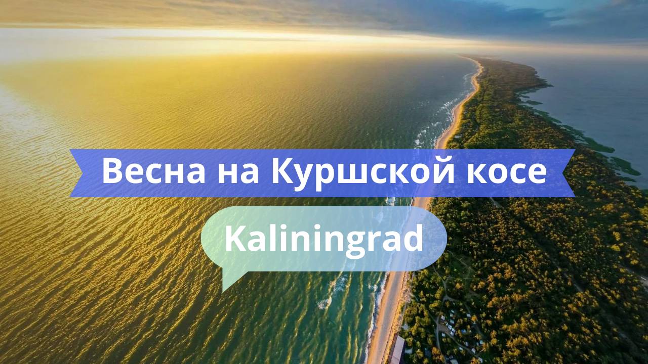 Весна на Куршской косе 🌿 Природа, тишина, красота