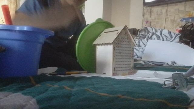 VID_2025-05-14-19-03-56-343.mp4
