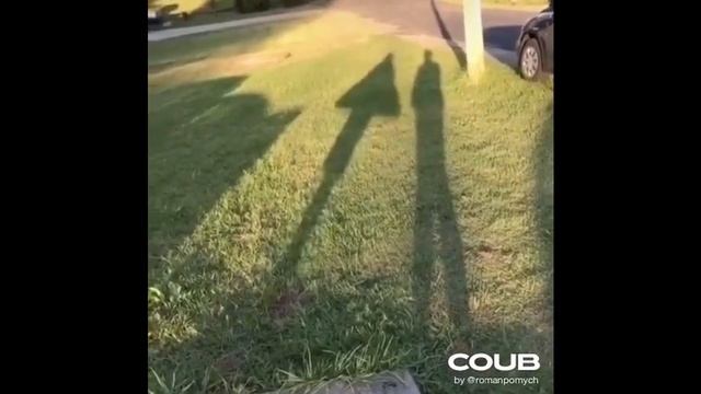 Best Coub #19 | [Extra Funny Gifs] | Лучшие улётные приколы (коубы) 2020 |