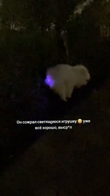 ПОДПИШИСЬ на КАНАЛ!