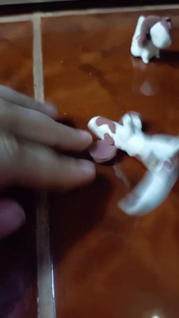 1000005952.mp4