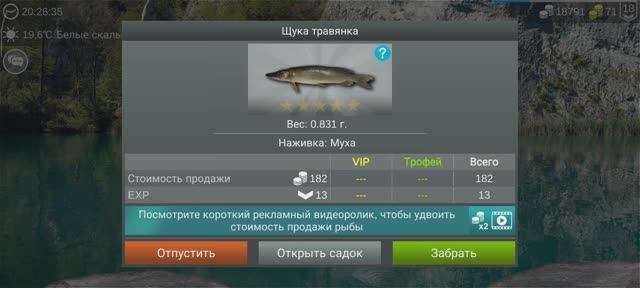My Fishing World щука травянка рулит