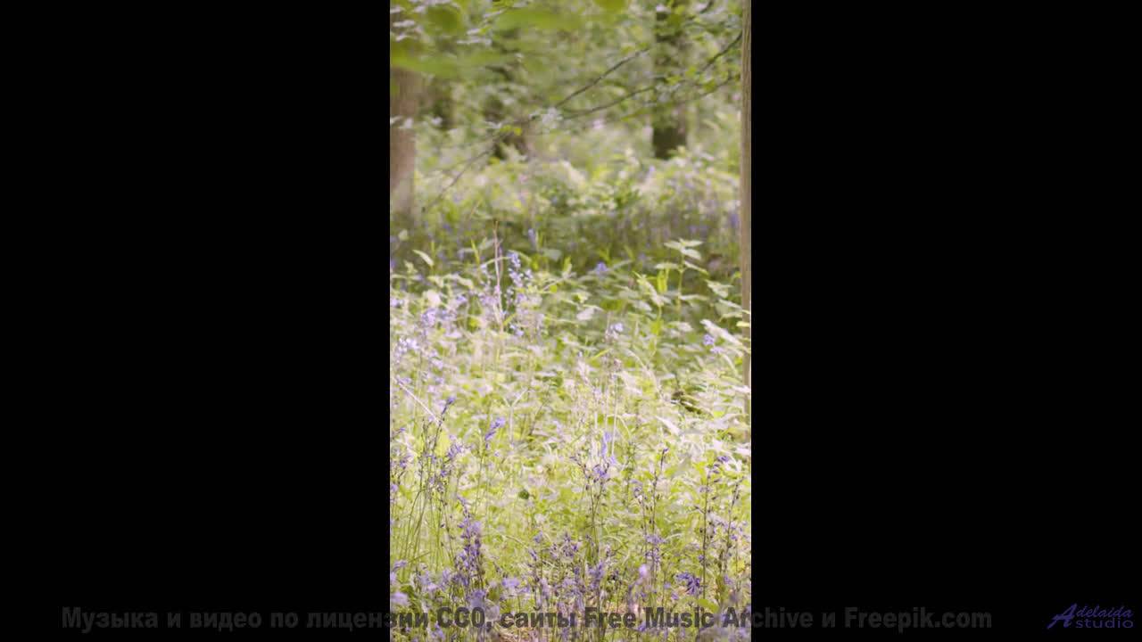 Музыка поднимает ввысь над реками и горами - Hope And Belief -- Kirk Osamayo -- Season Two (YELLOW)