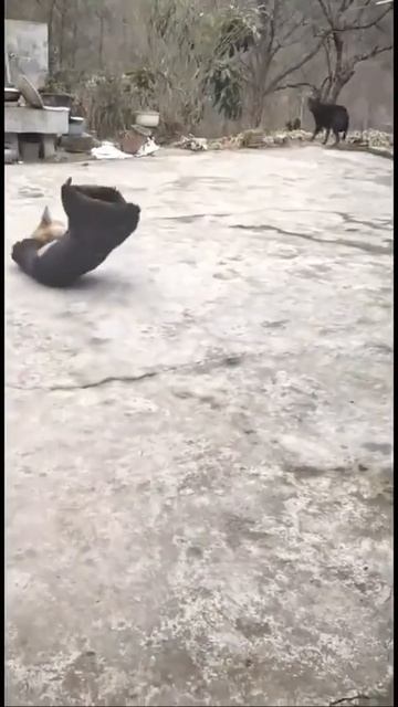 VID-20250514-WA0134.mp4