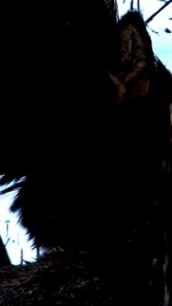 В кадре: самые яркие эмоции