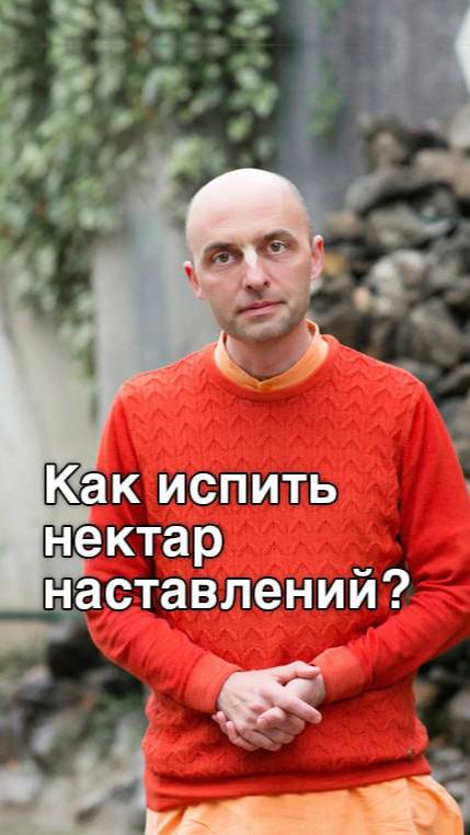 Как испить нектар наставлений?

#харекришна #сознаниекришны