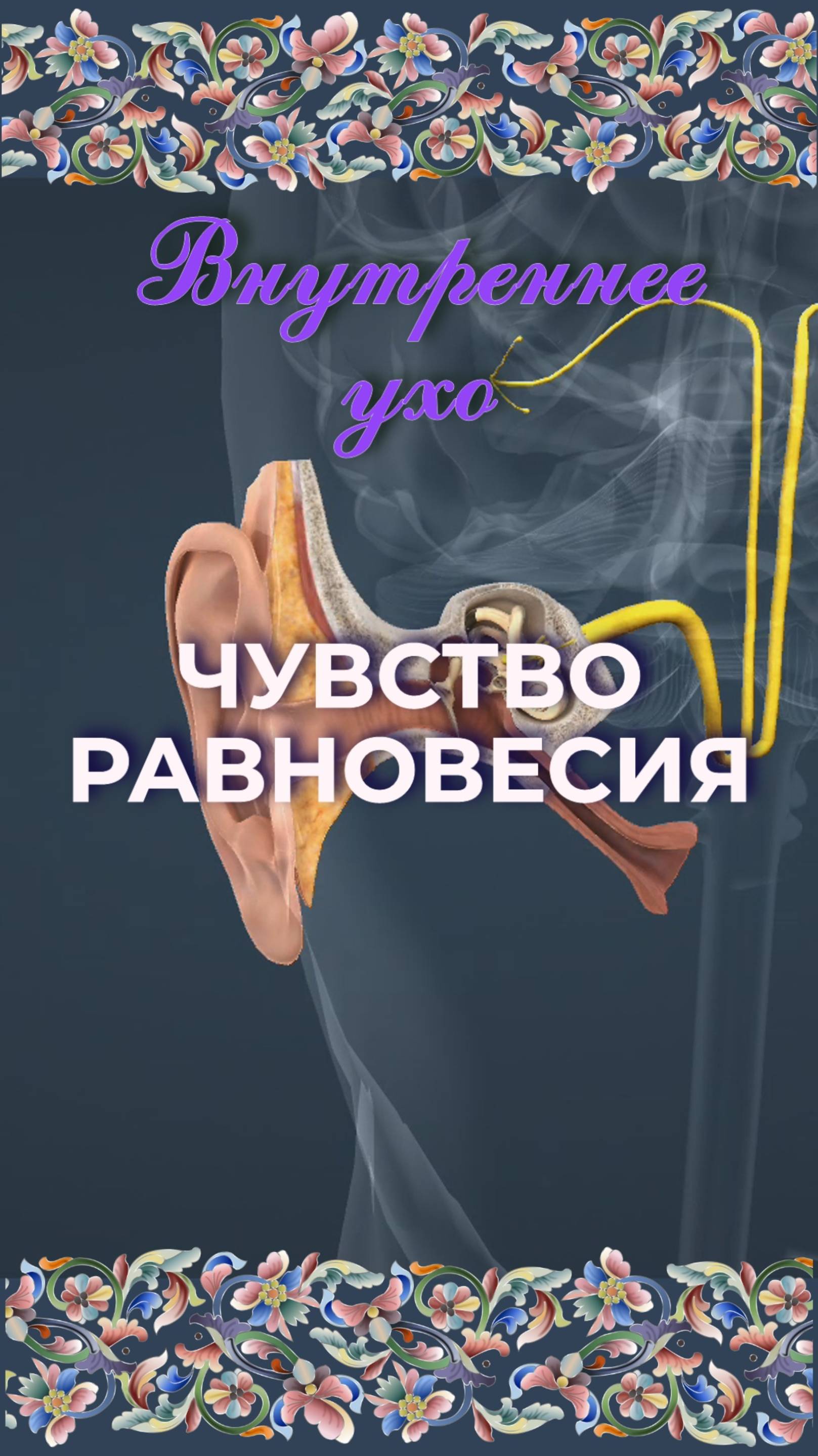 Чувство равновесия

Вестибулярная система - внутреннее ухо