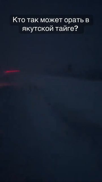 @vkino_real - названия доступны только подписчикам (подпишись и смотри лучшие фильмы и сериалы)