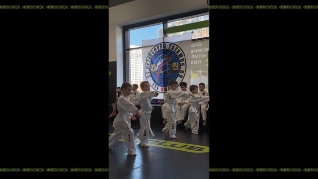 Geroika Club Тхэквондо