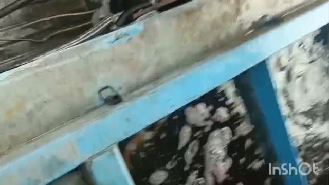 1000079356.mp4