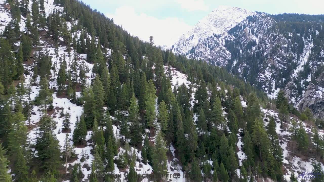 Поля становятся морем, а ноты - волнами - Reachout . Pushback -- Ranch House -- The Ranch House LP