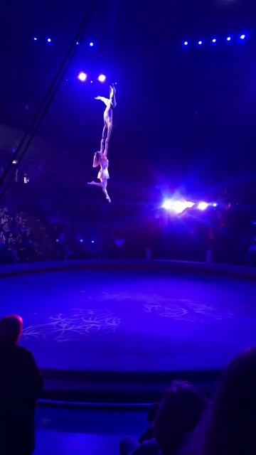 Цирк дюсолей #circus #цирк #гимнасты #circusvideo #circusworld #2023 #врек