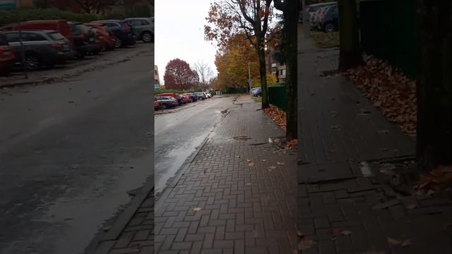 Верите ли вы Силу Мысли?
