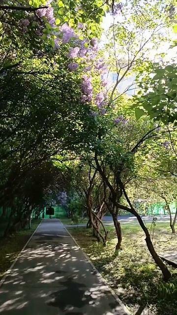 Внсна💓