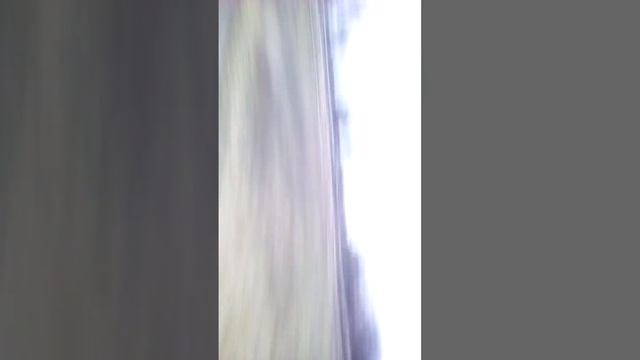 Прикол с козой