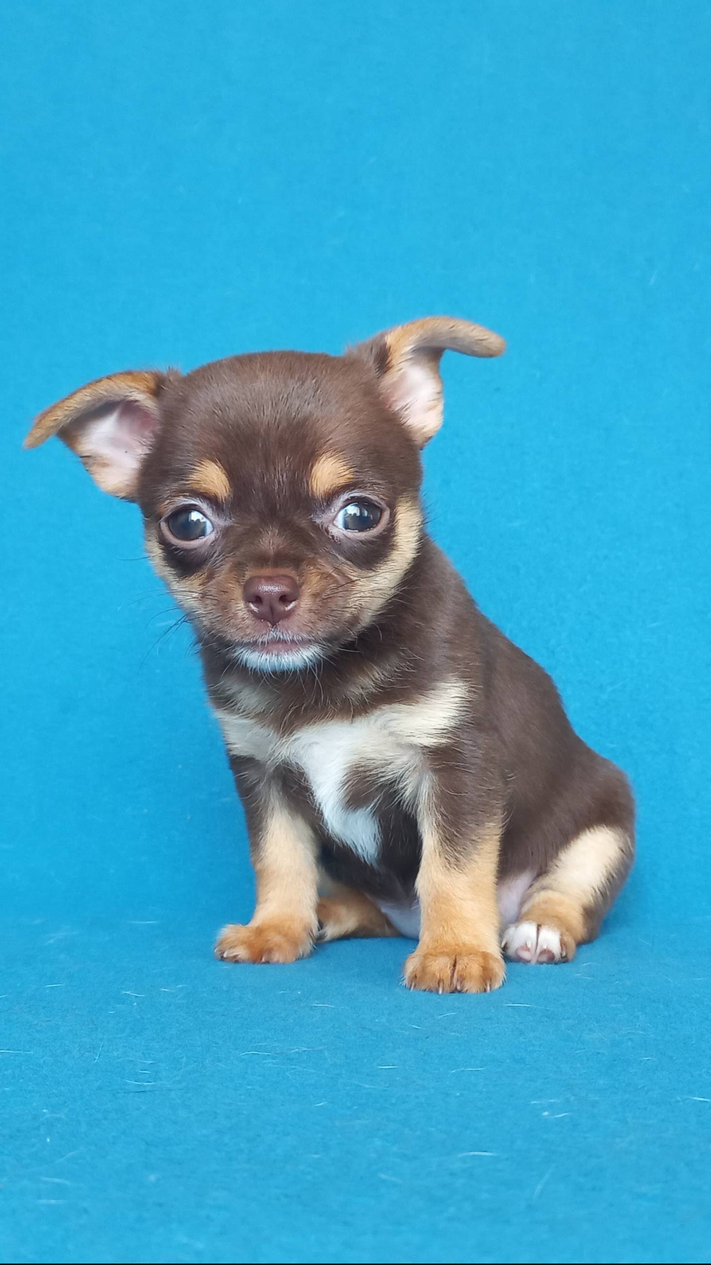 ВОТ ТАКАЯ ДЕВОЧКА