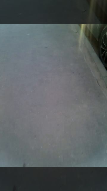 VID-20250514-WA0020.mp4