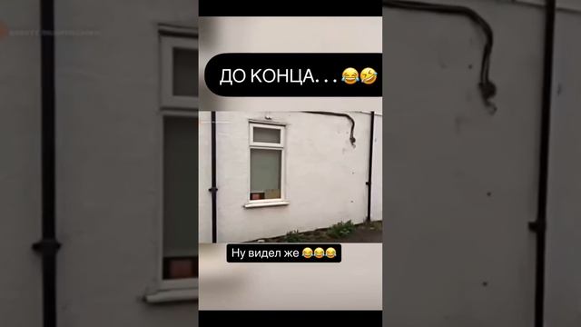 Клипы_БардачОk