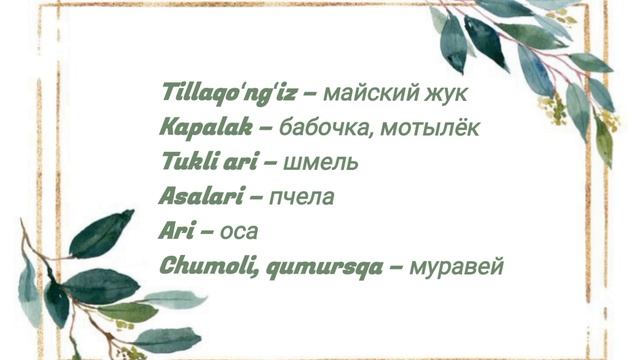 Узбекский язык. Учим слова на тему "Насекомые". Oʻzbek tili.