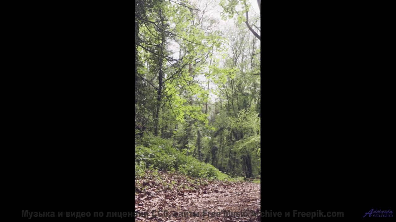 Мелодия и виды гипнотизируют сильнее любого сериала - The Horses Are Tired -- Ayato + Kecap Tuyul --