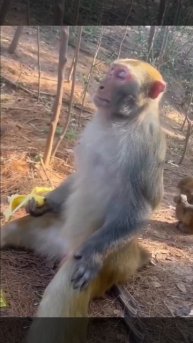 Пора спать, а мы еще не ели 😎