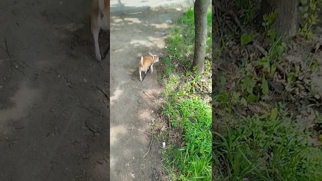 У Сени все стабильно 😁
