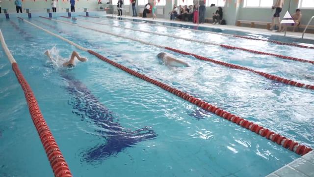 Вопросы спорта. Первенство по плаванию