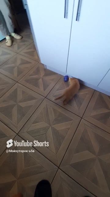 РЫЖИЙ ФУТБОЛИСТ!!Shorts