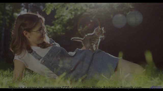Звук раскрывает природу так, что перехватывает дыхание - Blinking Lights -- Kirk Osamayo -- Season T