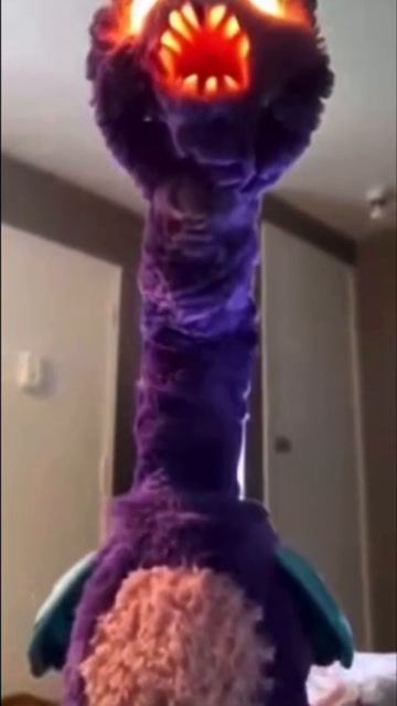 VID-20250513-WA0188.mp4