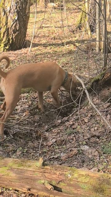 Мия похоронила птенчика.